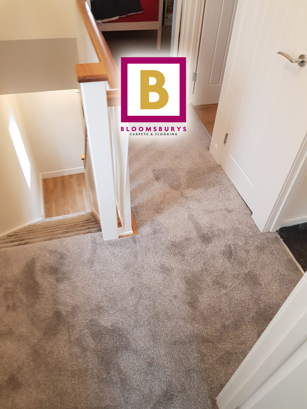 Pet friendly (approved) floor finishes!