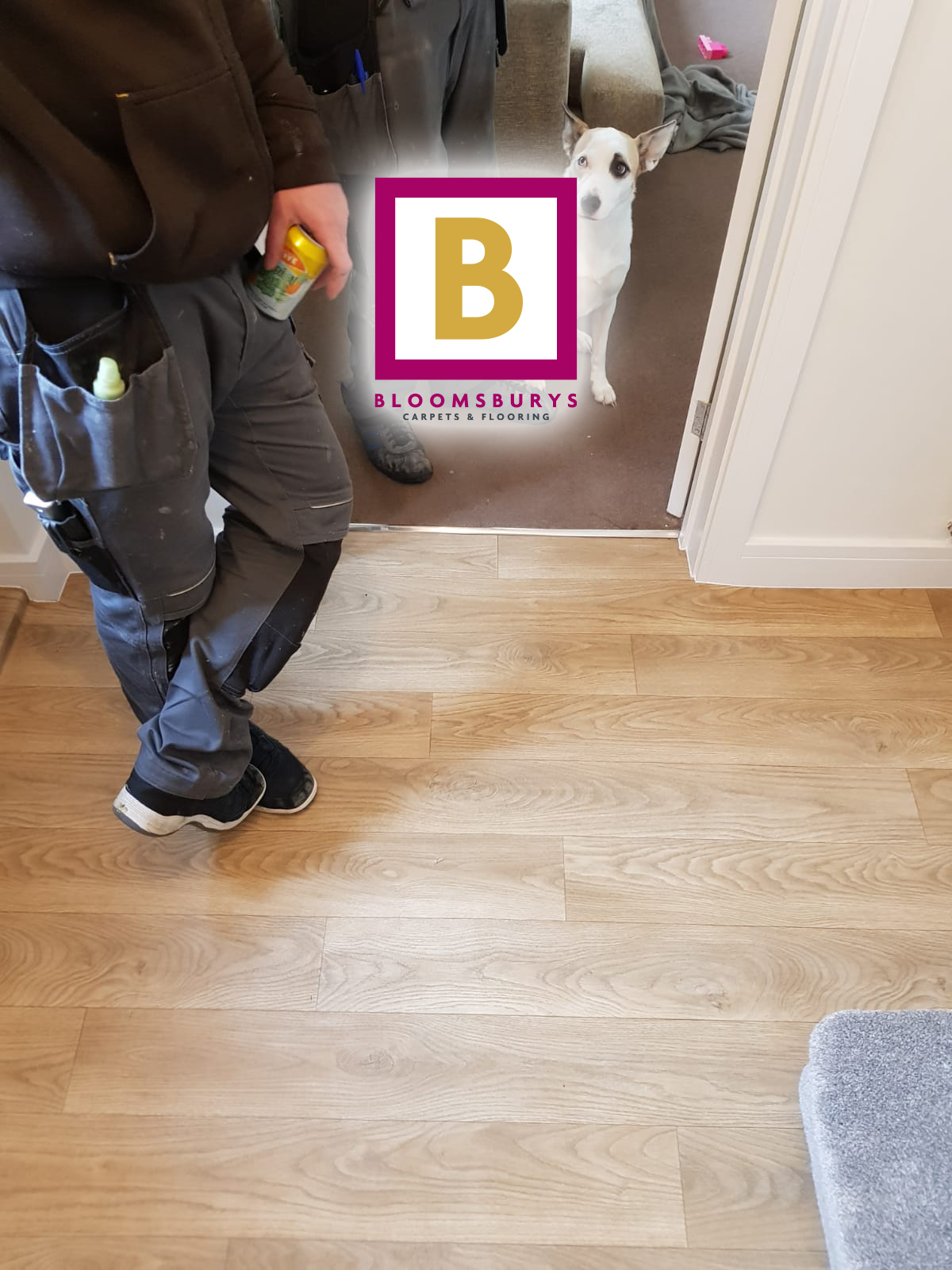 Pet friendly (approved) floor finishes!