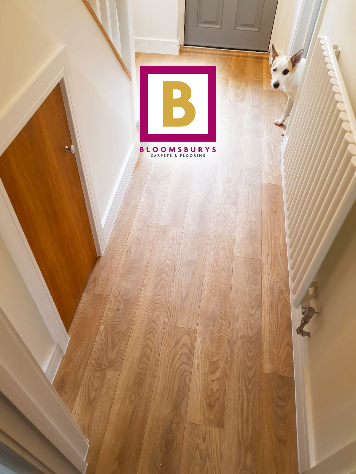 Pet friendly (approved) floor finishes!