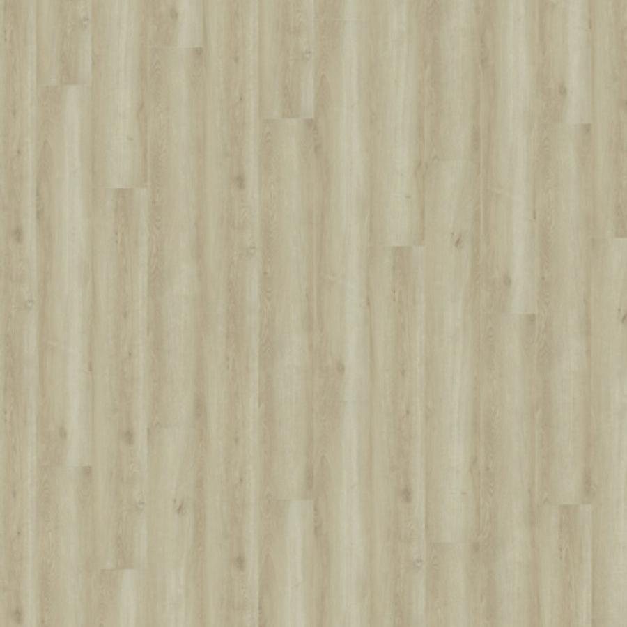 Brilliant Oak