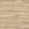 California Oak