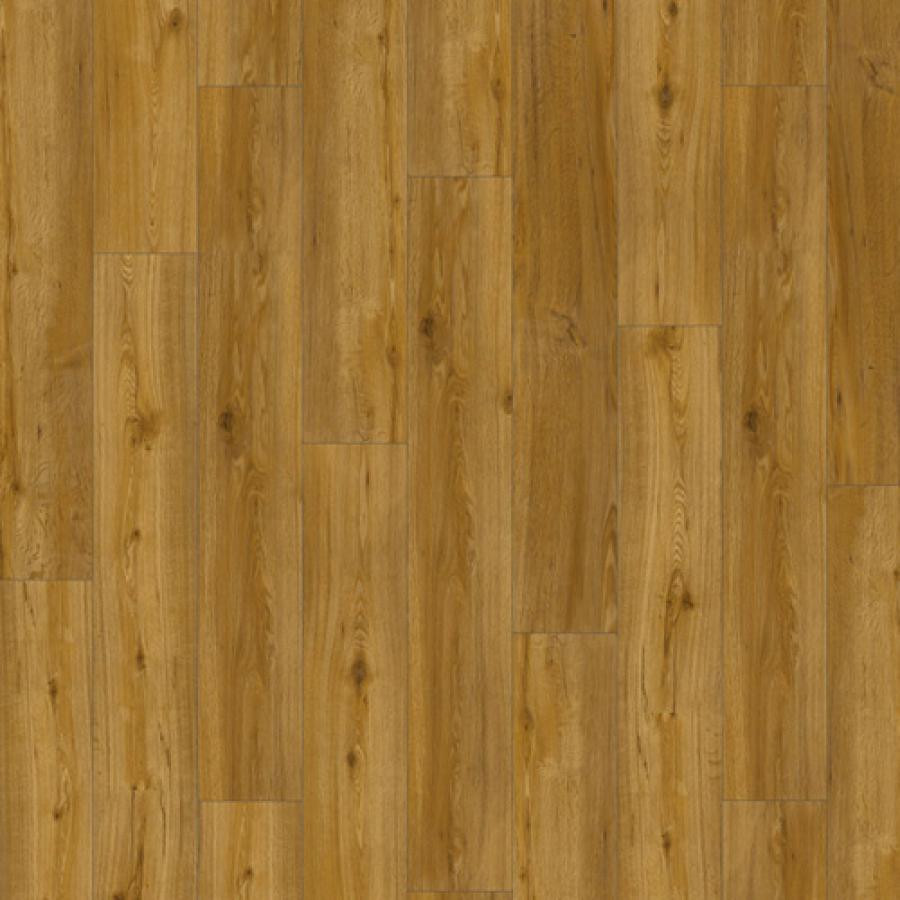 Forest Oak