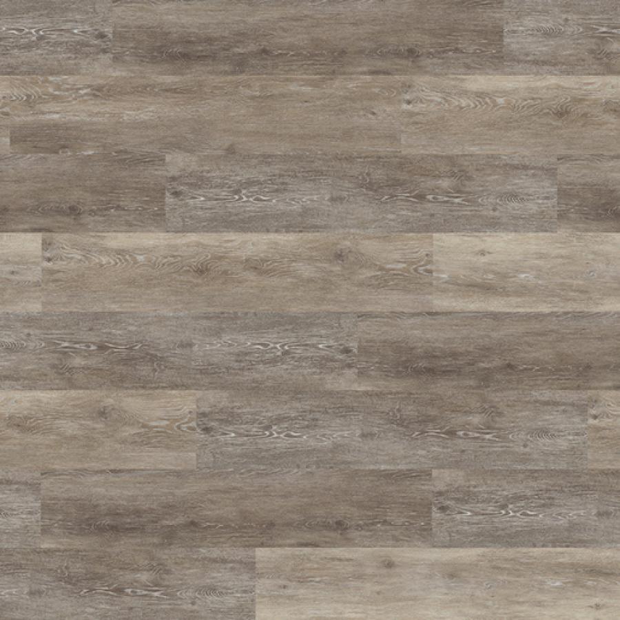 Icelandic Oak