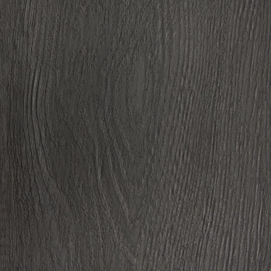 Midnight Oak