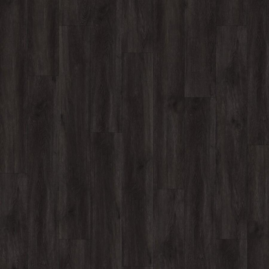 Oak Noir