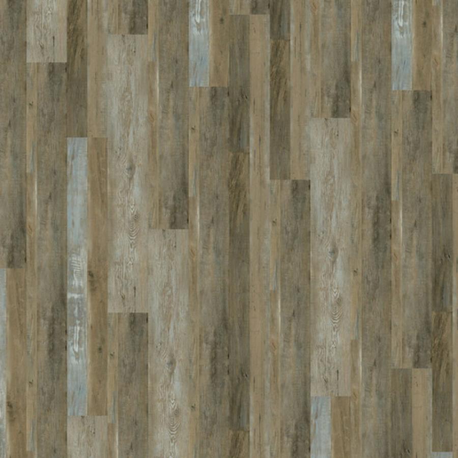 Painted Oak