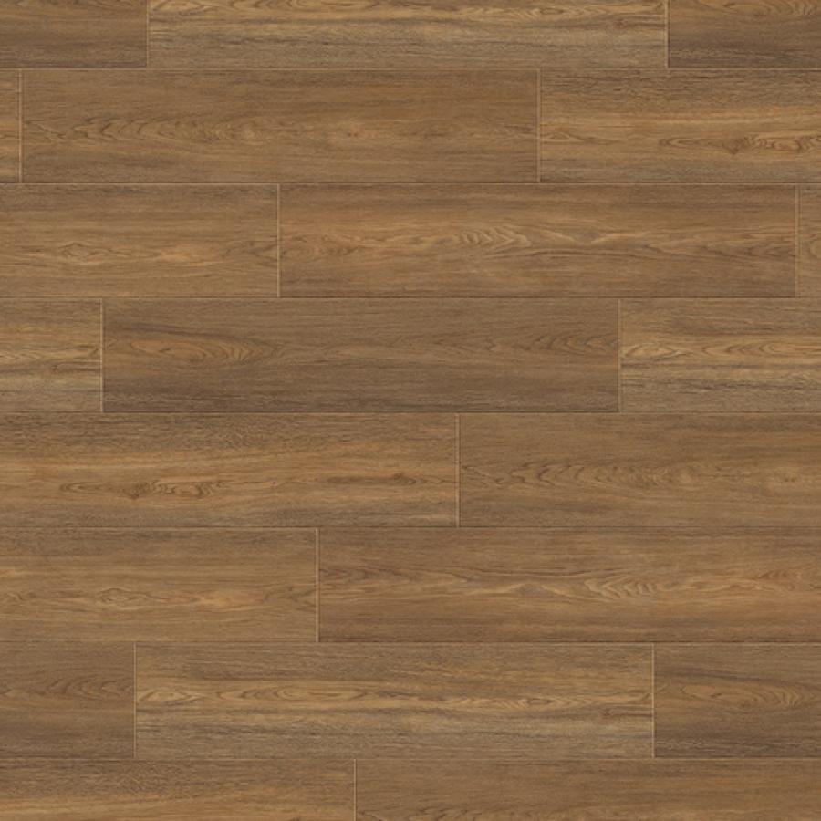 Shingle Oak