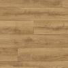 Sicilian Oak
