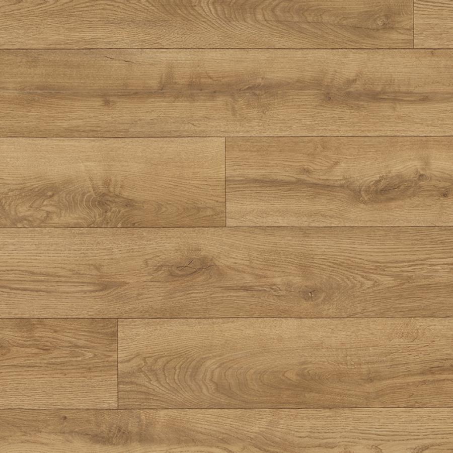 Sicilian Oak