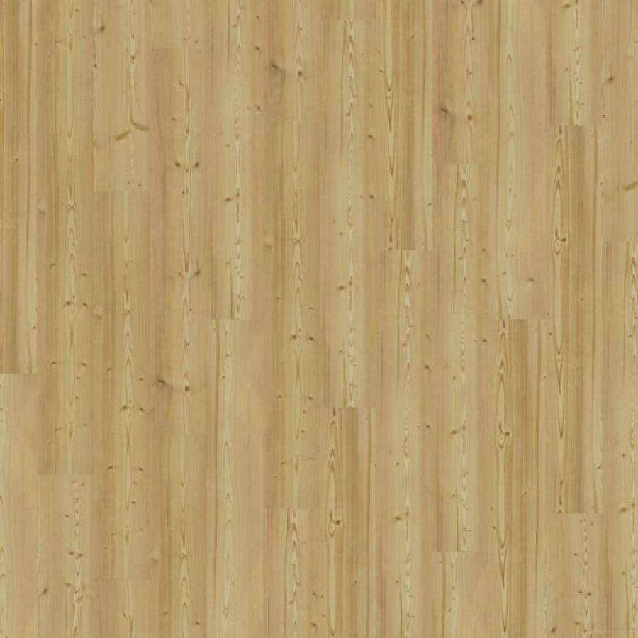 Spruce