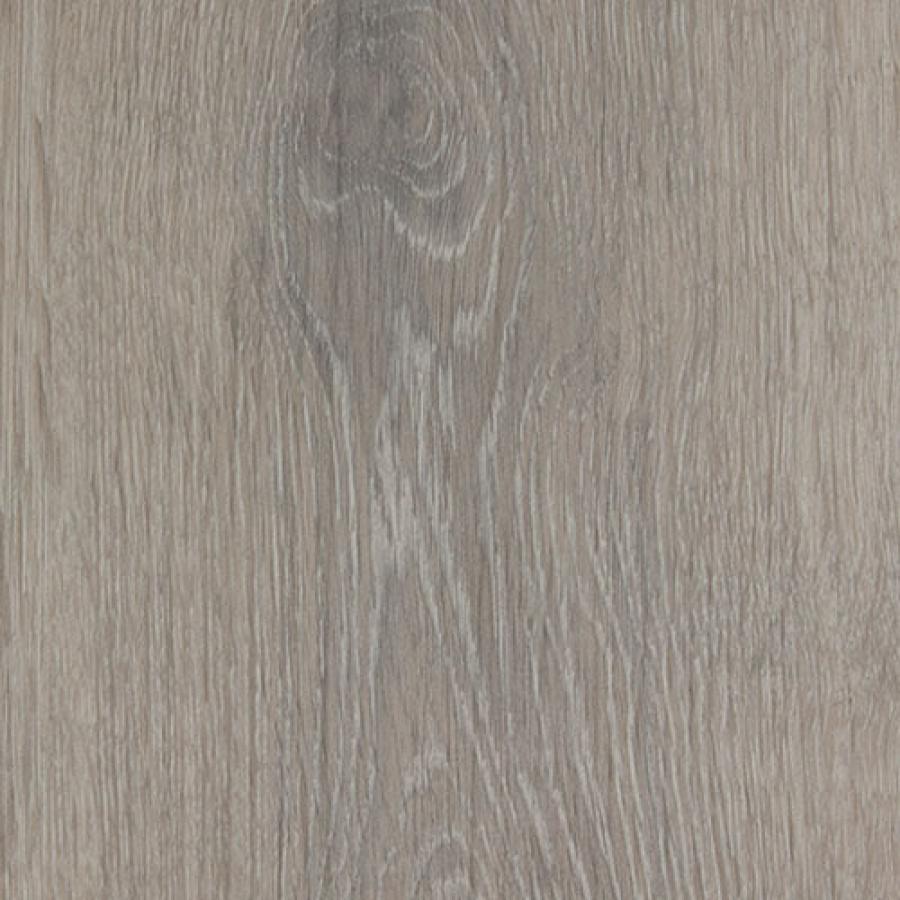 Taupe Oak