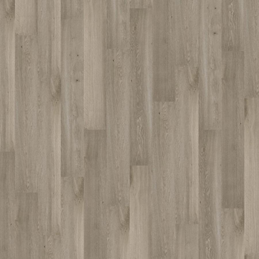 Tawny Oak