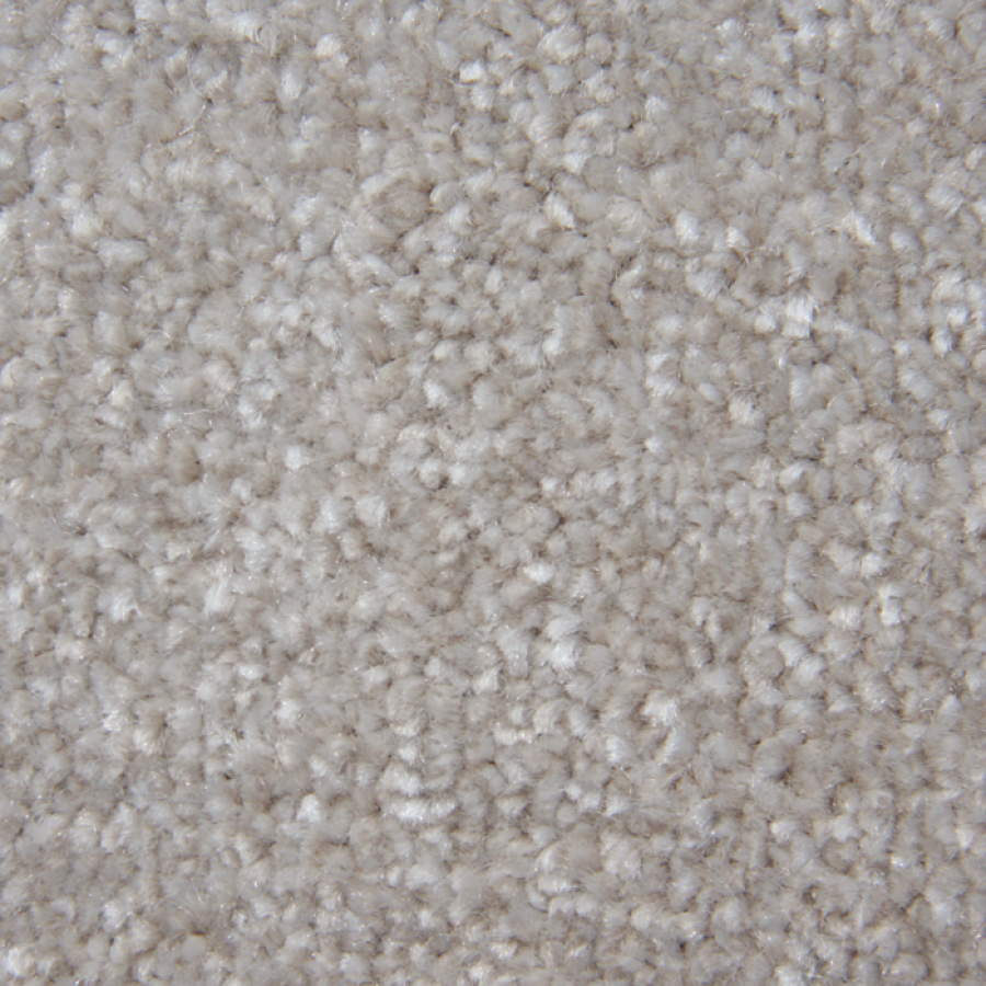 Parchment
