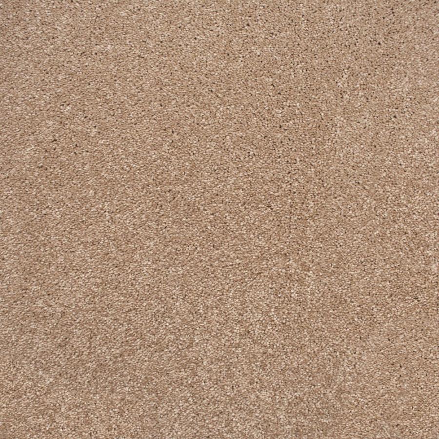 Brushed Cotton