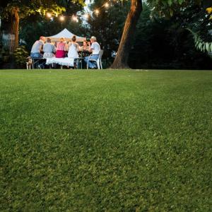 Oryzon Grass All Artificial Grasses Range