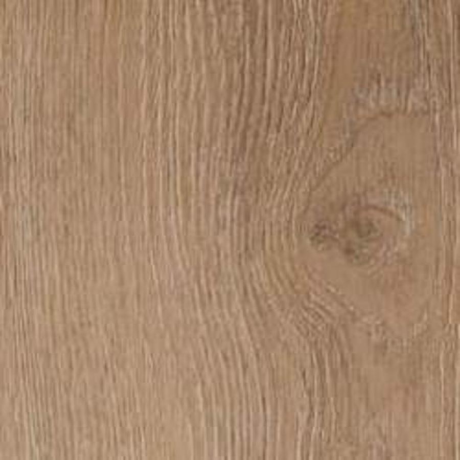 Blenheim Oak