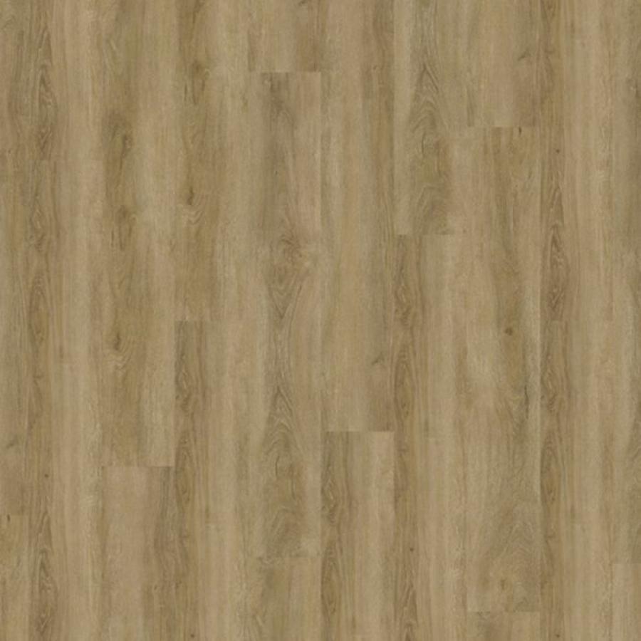 Stirling Oak