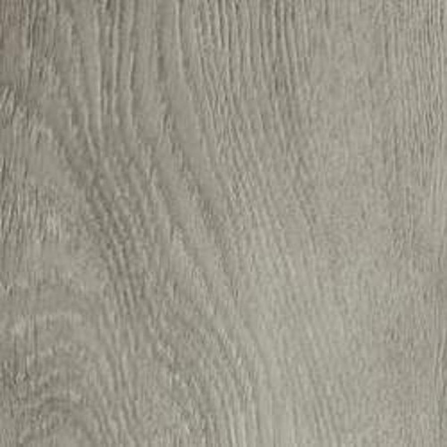 Windsor Oak