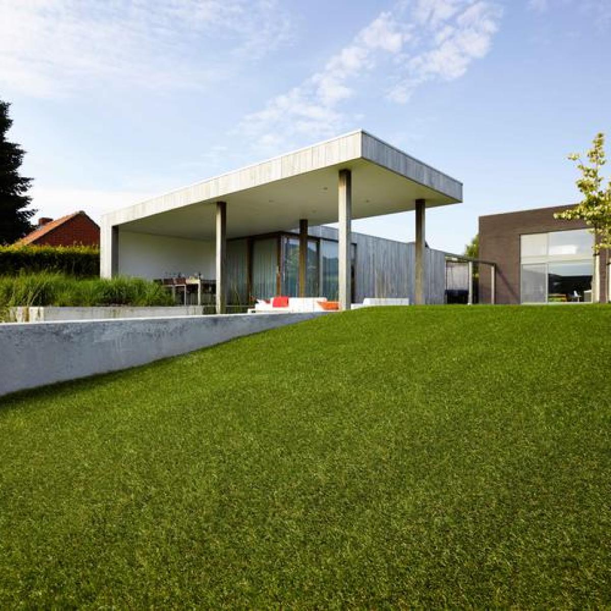 Oryzon Grass Walnut Creek Olive Range