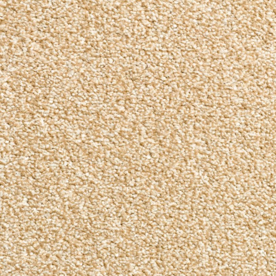 Parchment