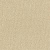 Cool Beige