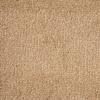 Cool Beige