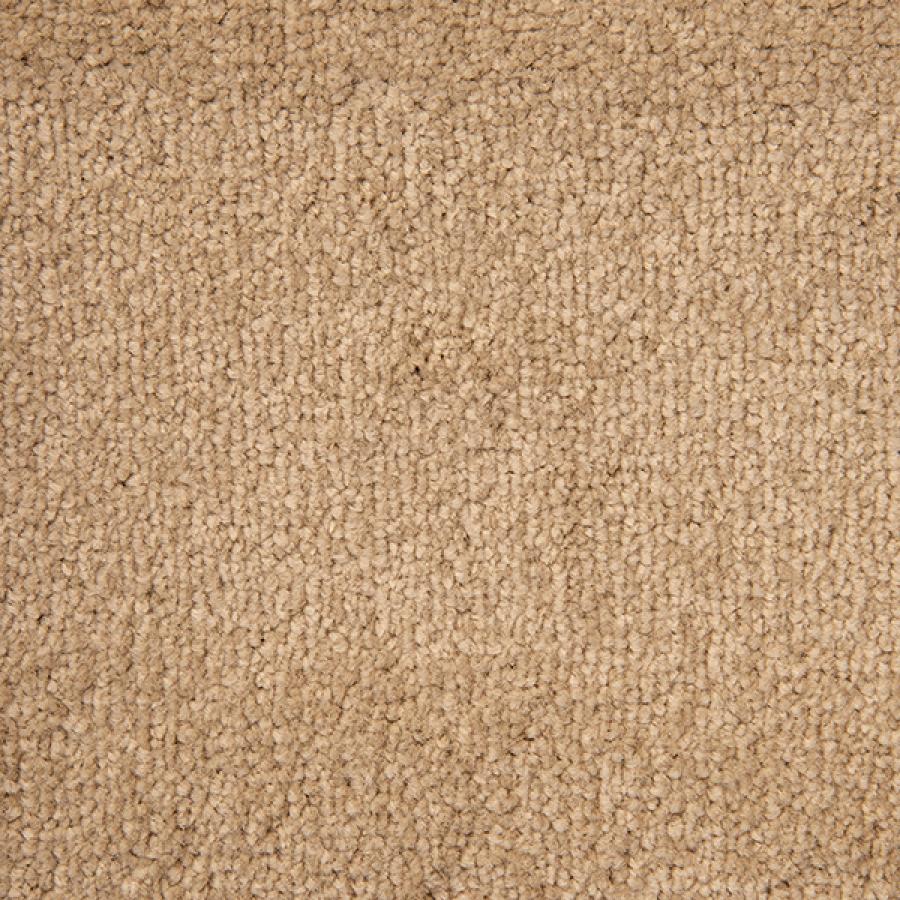 Cool Beige