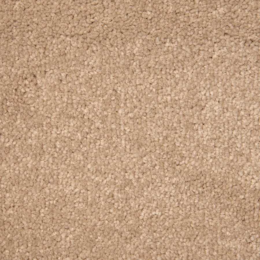 Dove Grey